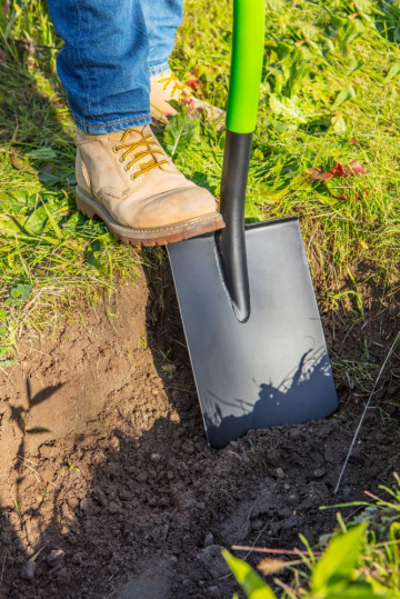 15g011vis01nbtwgukynty619bu