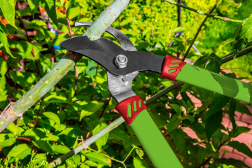 15g252vis01s412bi5h9lhks5zf