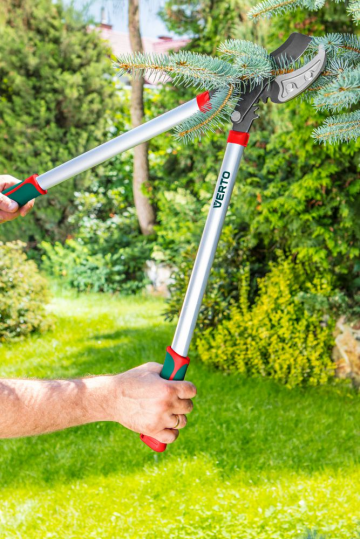 15g257vis01znalqcujuhnvggu6