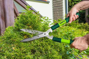 15g310vis01pzsoevowwobjlwij