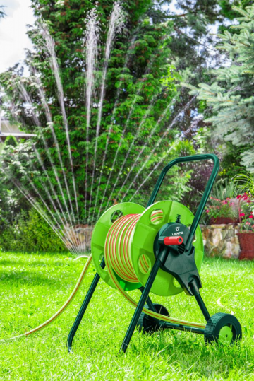 15g820vis014bfoy8hgzhuisxs6