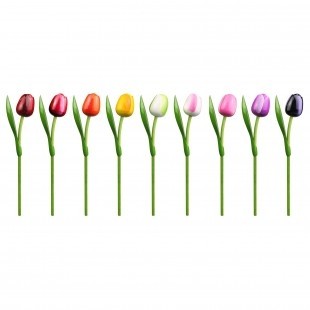 Beschilderde Houten Tulpen