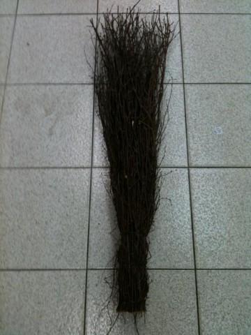 Heksenbezem Rijsenbezem